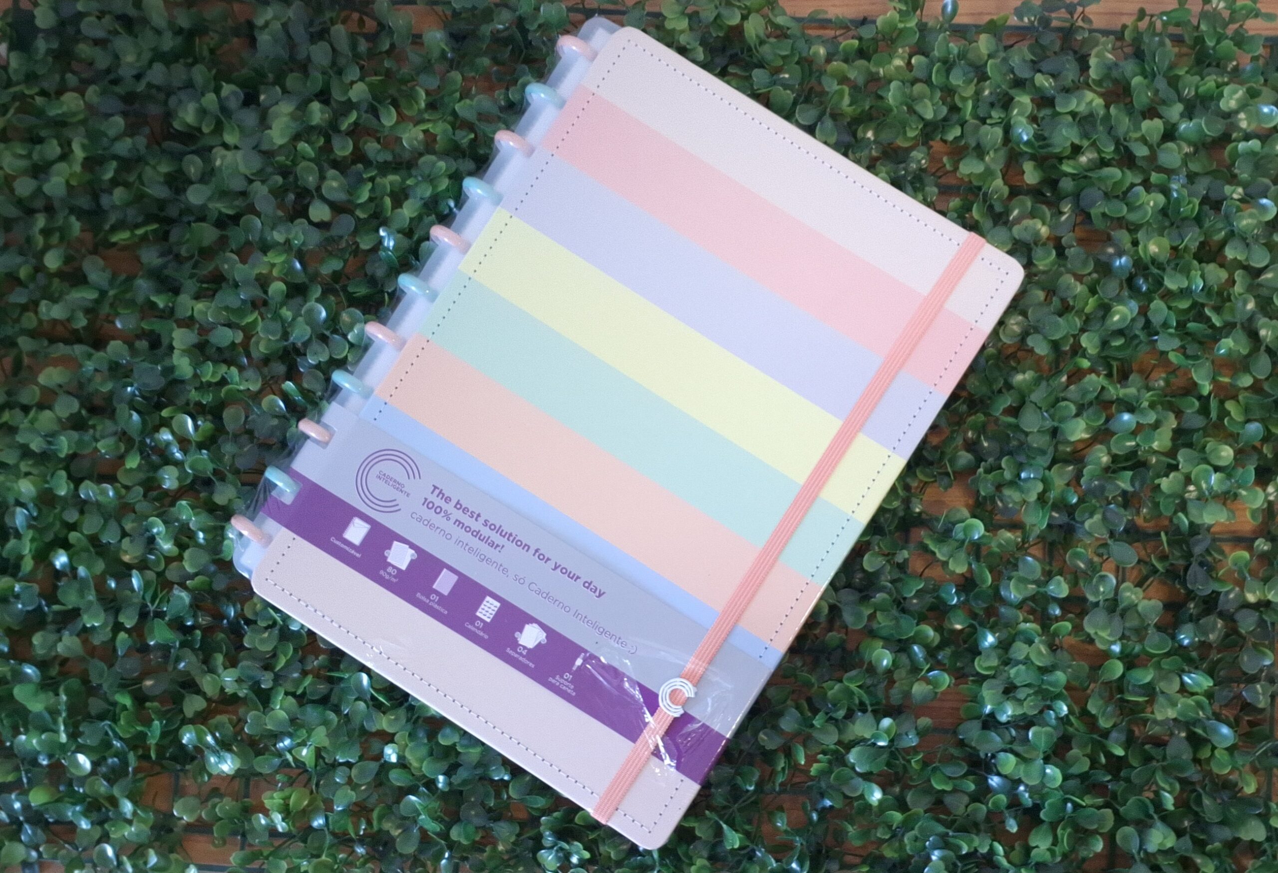 CADERNO INTELIGENTE ARCO-ÍRIS PASTEL  - CADERNO INTELIGENTE - ARCO-IRIS
